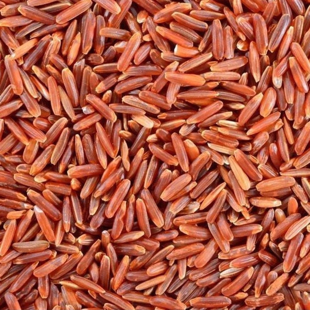 Doğal Kırmızı Pirinç Tohumu (20 Tohum)