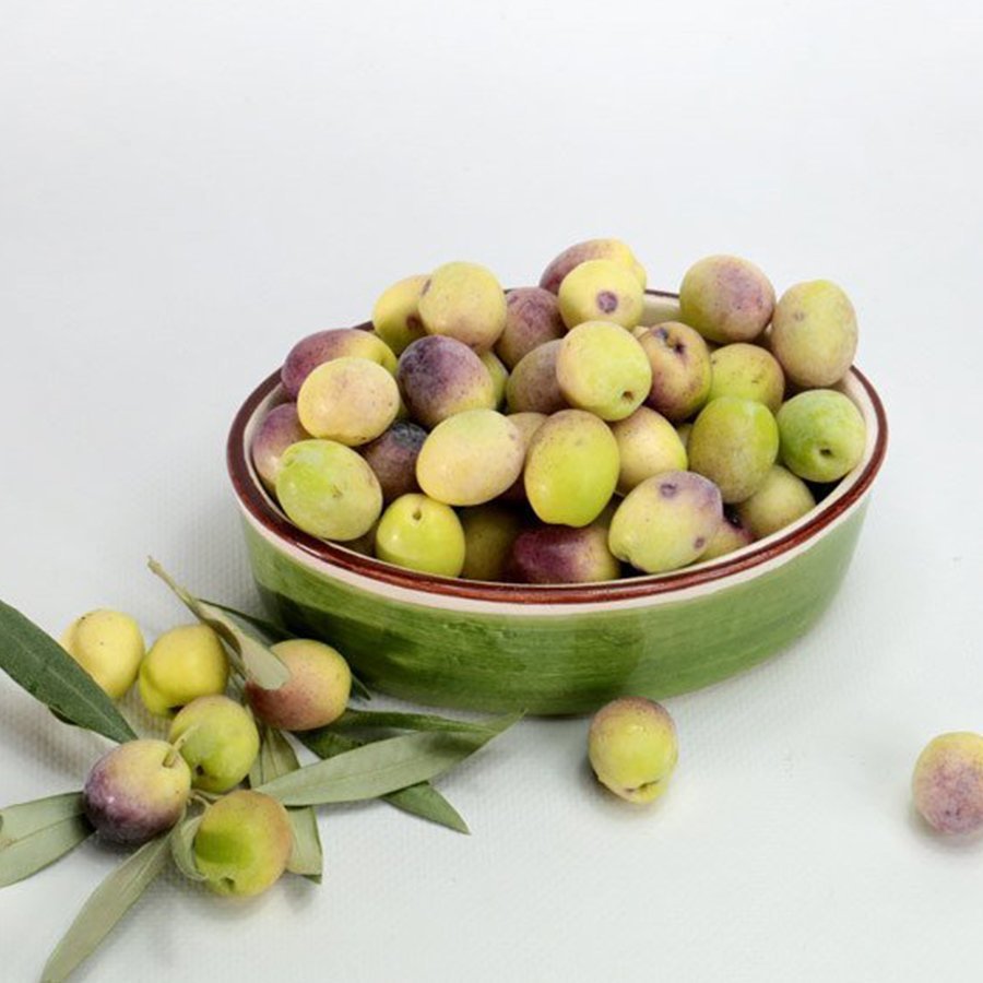 Aşılı Kırmalık Yağlık Ayvalık Zeytin Fidanı(100-150 cm)