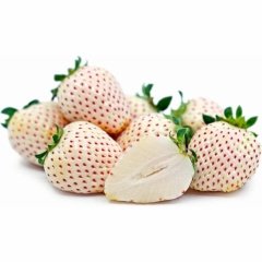 Özel Çeşit Yediveren Beyaz Çilek Fidesi (9cm'lik Saksıda Dikili)