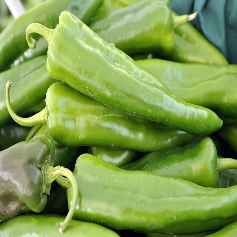 Kırmızı Yeşil Anaheim Chile Acı Biber Tohumu (20 tohum)