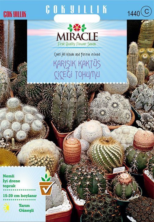 Miracle Karışık Kaktüs Bitkileri Çiçeği Tohumu (500 Tohum)