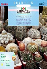 Miracle Karışık Kaktüs Bitkileri Çiçeği Tohumu (500 Tohum)