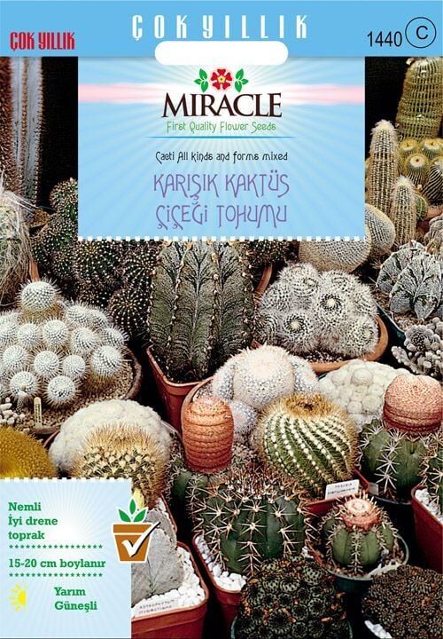 Miracle Karışık Kaktüs Bitkileri Çiçeği Tohumu (20 Tohum)