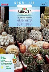 Miracle Karışık Kaktüs Bitkileri Çiçeği Tohumu (20 Tohum)