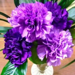 Chabaud Violet Katmerli Karanfil Çiçeği Tohumu(70 adet)