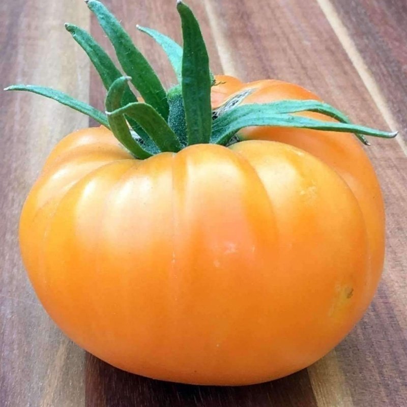 Kahvaltılık Kellogg's Breakfast Domates Tohumu-(19 Tohum)