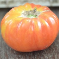 Sarı Kırmızı Old German Domates Tohumu-(20 Adet)