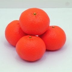 Tüplü Aşılı Aromatik Fremont Mandalin Fidanı