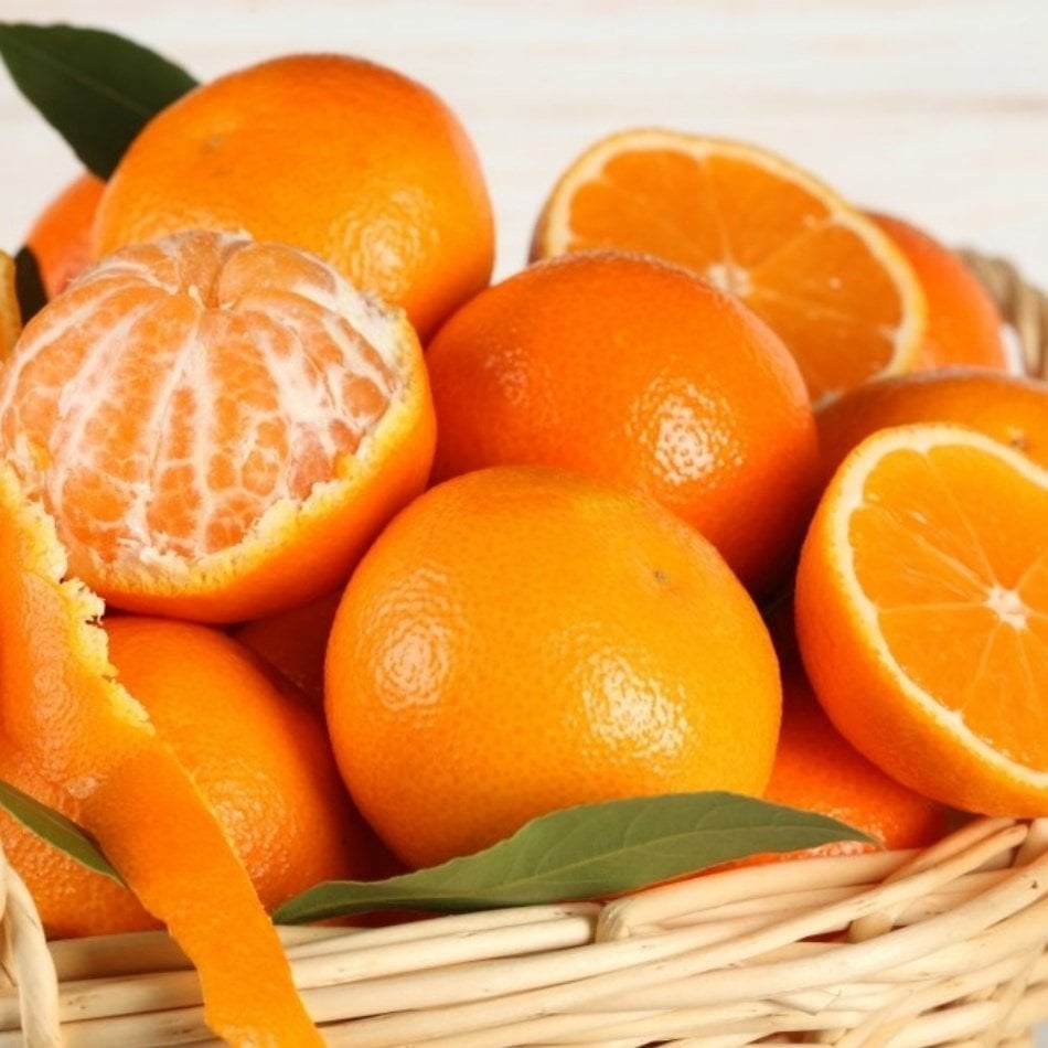 Tüplü Aşılı Erkenci Verimli Early N Mandalin Fidanı