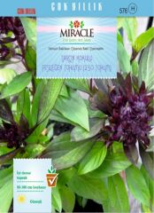 Miracle Tarçın Kokulu Fesleğen Tohumu (250 Tohum)