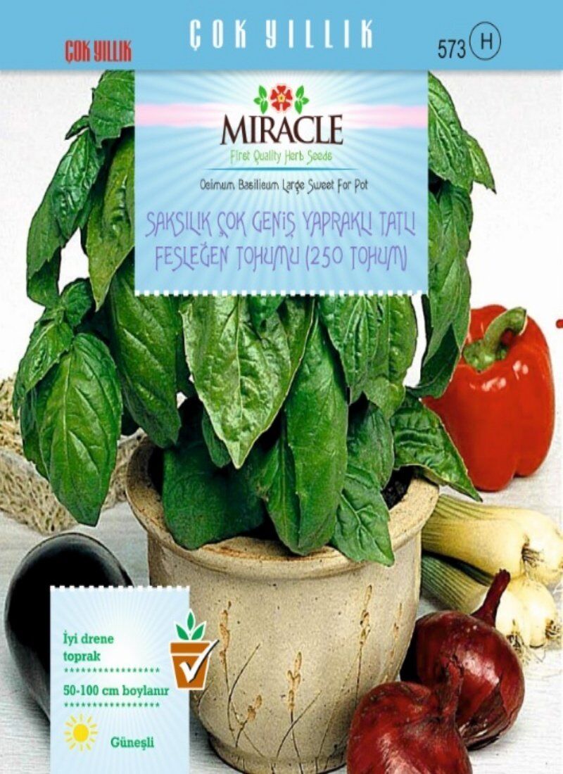 Miracle Saksılık Çok Geniş Yapraklı Tatlı Fesleğen Tohumu(250 Tohum)