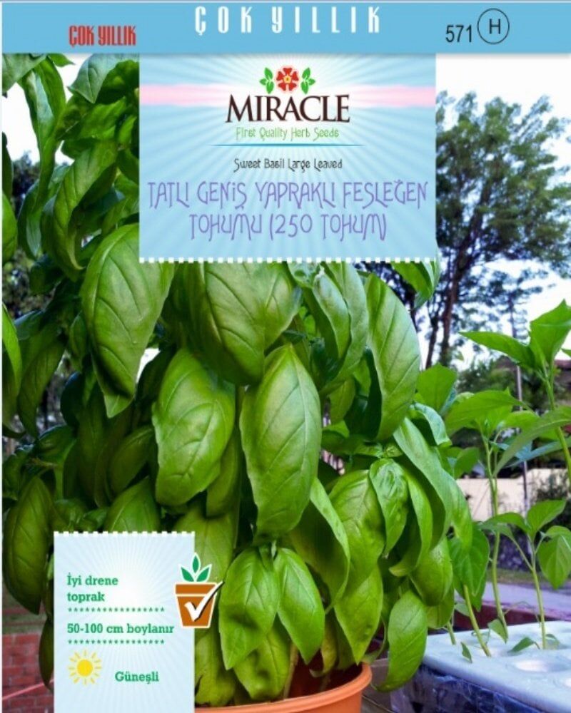 Miracle Tatlı Geniş Yapraklı Fesleğen Tohumu (250 Tohum)