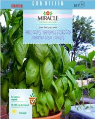 Miracle Tatlı Geniş Yapraklı Fesleğen Tohumu (250 Tohum)