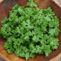 Doğal Kıvırcık Tere Tohumu (100 tohum)
