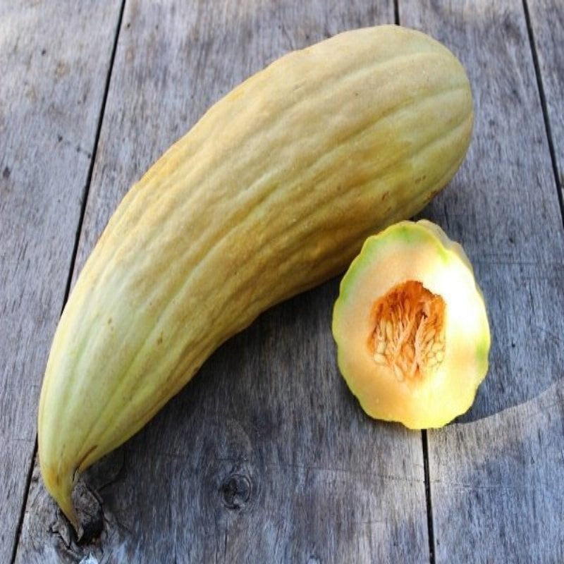 Uzun Muz Kavunu Tohumu (10 tohum)