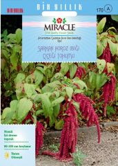 Miracle Sarkan Kırmızı Amaranthus(Horoz İbiği) Çiçeği Tohumu( 150 Tohum)