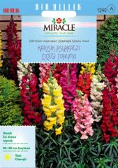 Miracle Antirrhinum Rainbow Mixed Karışık Aslanağzı Çiçeği Tohumu(200 Tohum)