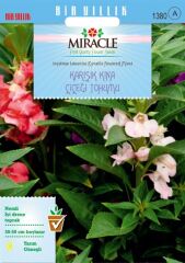 Miracle Balsamina Karışık Renkli Kına Çiçeği Tohumu (100 Tohum)