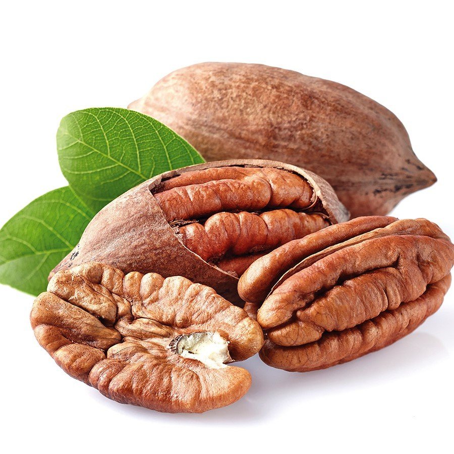 Tüplü Nadir Bulunan Leziz Pikan Sahil Cevizi Fidanı