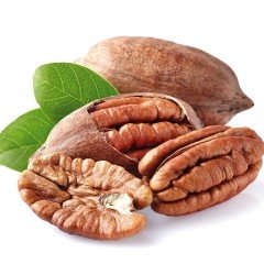 Tüplü Nadir Bulunan Leziz Pikan Sahil Cevizi Fidanı