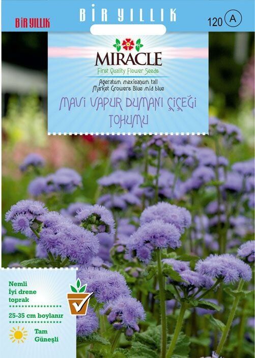 Miracle Ageratum Mexicanum Mavi Vapur Dumanı Çiçeği Tohumu (100 Tohum)