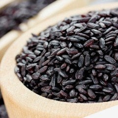 Doğal Siyah Pirinç Tohumu (20 Tohum)