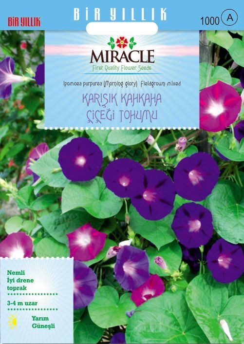 Miracle Karışık Fielgrown Kahkaha Çiçeği Tohumu (10 Tohum)