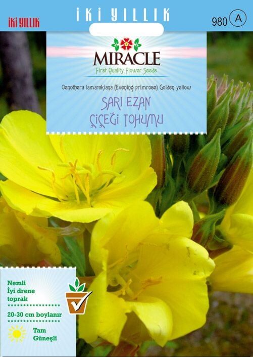 Miracle Ezan Çiçeği Tohumu(480 Tohum)