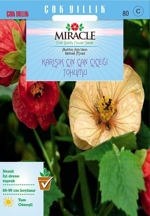Miracle Karışık Renkli Çin Çan Çiçeği Tohumu (50 Tohum)