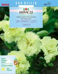 Miracle Marie Chabaud Sarı Karanfil Çiçeği Tohumu (190 Tohum)