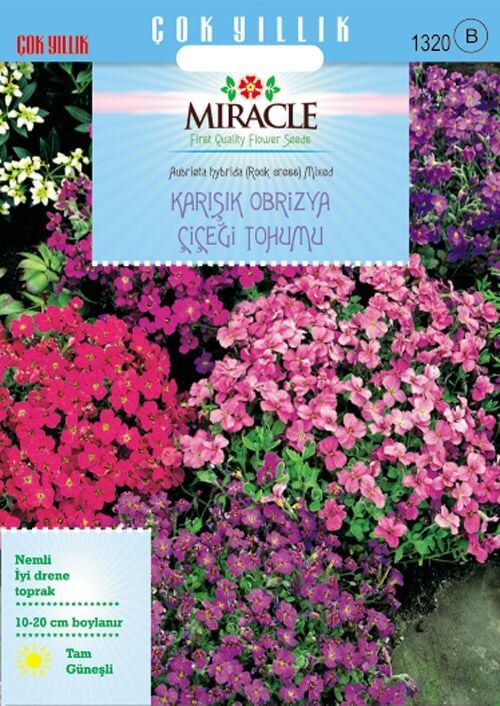 Miracle Rock Cress Aubrieta Karışık Renkli Obrizya Çiçeği Tohumu (100 Tohum)