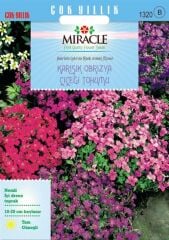 Miracle Rock Cress Aubrieta Karışık Renkli Obrizya Çiçeği Tohumu (100 Tohum)