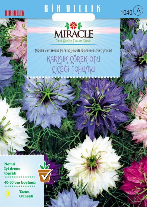 Miracle Karışık Renkli Çörek Otu Çiçeği Tohumu (100 Tohum)