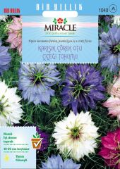 Miracle Karışık Renkli Çörek Otu Çiçeği Tohumu (100 Tohum)