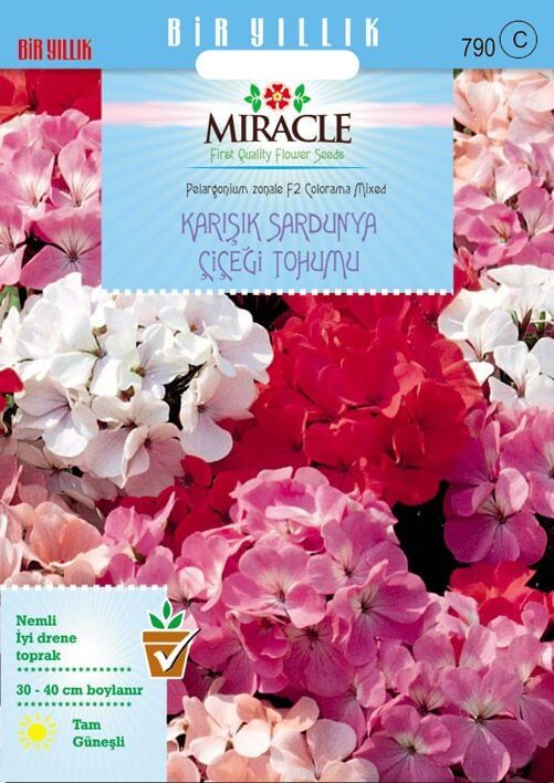 Miracle Colorama Karışık Renkli Hibrit Sardunya Çiçeği Tohumu (24 Tohum)
