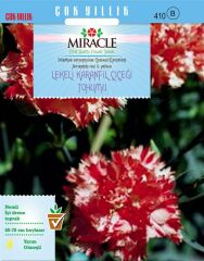 Miracle Avranchin Lekeli Karanfil Çiçeği Tohumu (190 Tohum)