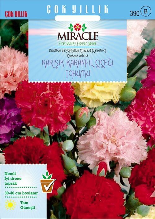 Miracle Chabaud Mixed Karışık Renkli Karanfil Çiçeği Tohumu (190 Tohum)