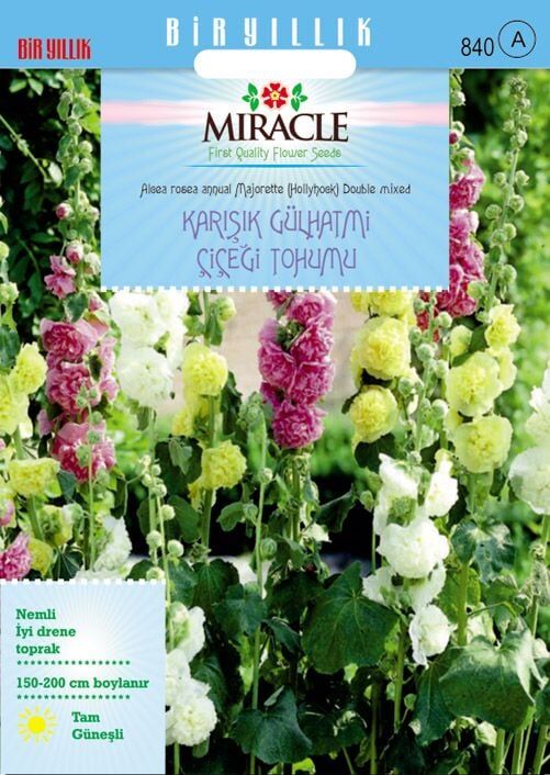 Miracle Karışık Renkli Katmerli Gül Hatmi Çiçeği Tohumu (40 Tohum)