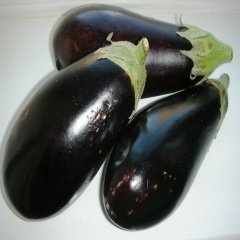 Verimli Topan Patlıcan Tohumu (20 tohum)