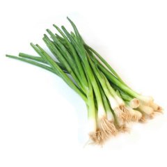 Green Rods Yeşil Soğan Fidesi (5 Adet)