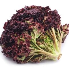 Geleneksel Soğuğa Dayanıklı Ruby Red Kırmızı Kıvırcık Marul Tohumu (100Tohum)