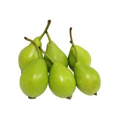 Tüplü Aşılı Yarıbodur Erkenci Aromatik Akça Armut Fidanı